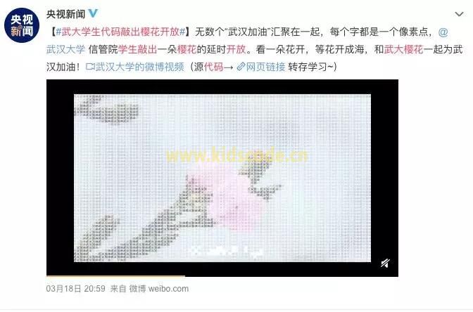 武大學生用Python敲出櫻花綻放，滿屏春天太浪漫